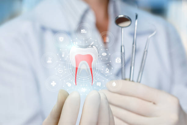 Why Choose Us for Your Dental Needs in Southern View, IL